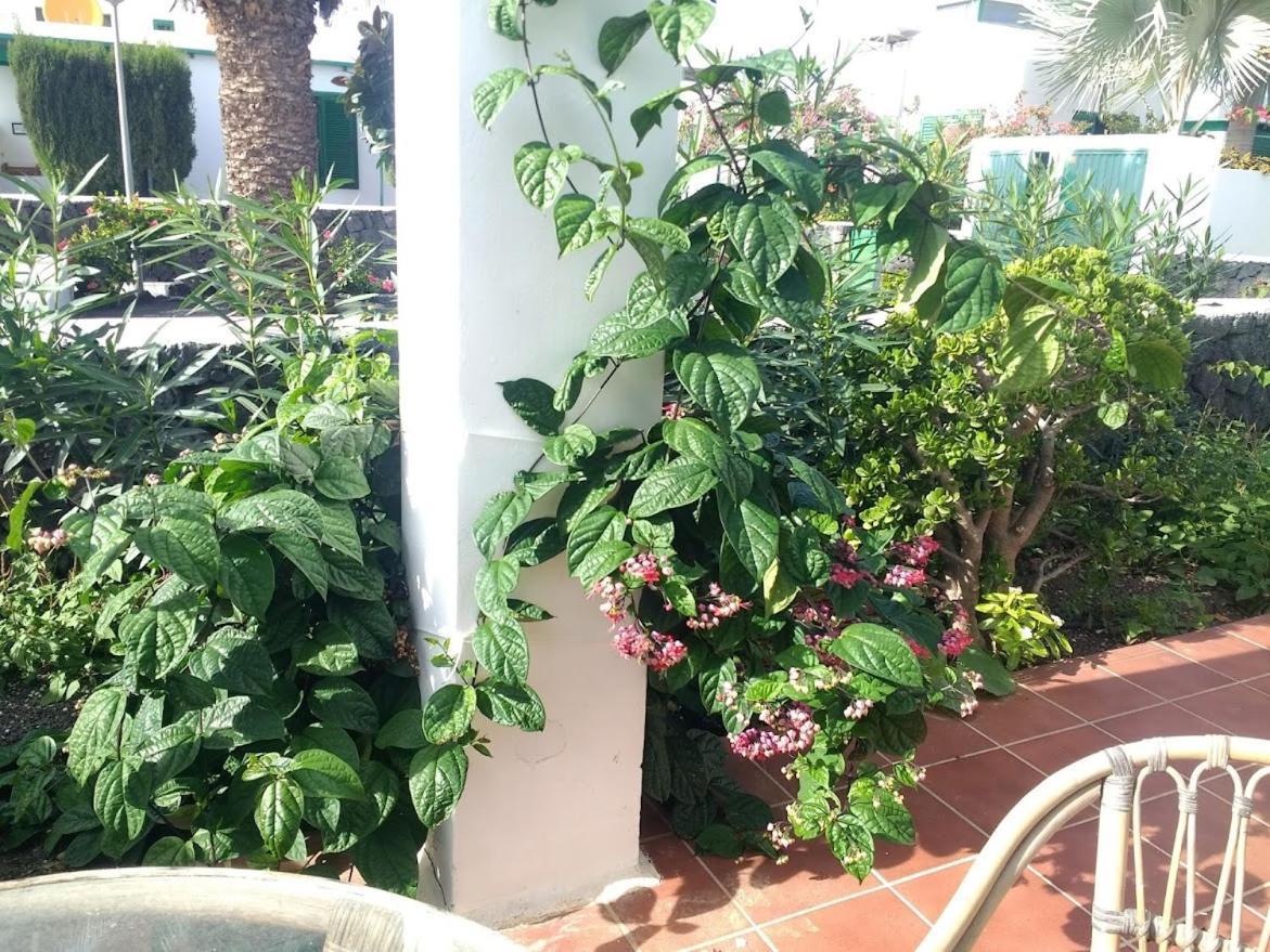 Casa Maracuya Villa Costa Teguise Eksteriør billede