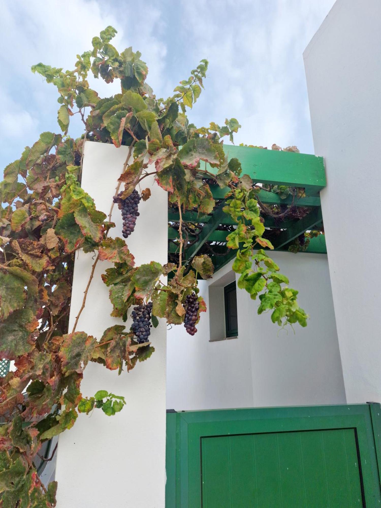 Casa Maracuya Villa Costa Teguise Eksteriør billede